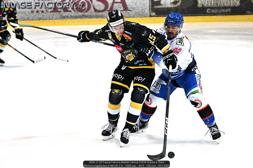 2024-11-23 Fassa Falcons-Mastini Varese 01424 Gianluca Tilaro
